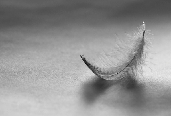 Simple macro feather